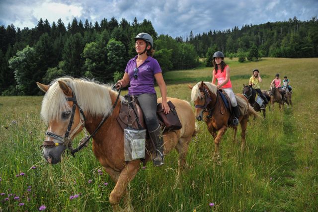 Photographe en Auvergne Rhône Alpes : Reportage photo équestre des cavaliers de l'Ecole d'Equitation de Peillonnex